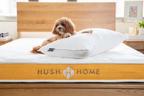 best pillows for housewarming gifts Hong Kong