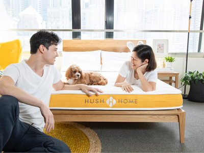 Bed Frame Buying Guide 2026: How to Choose a Perfect Bed Frame in Hong Kong